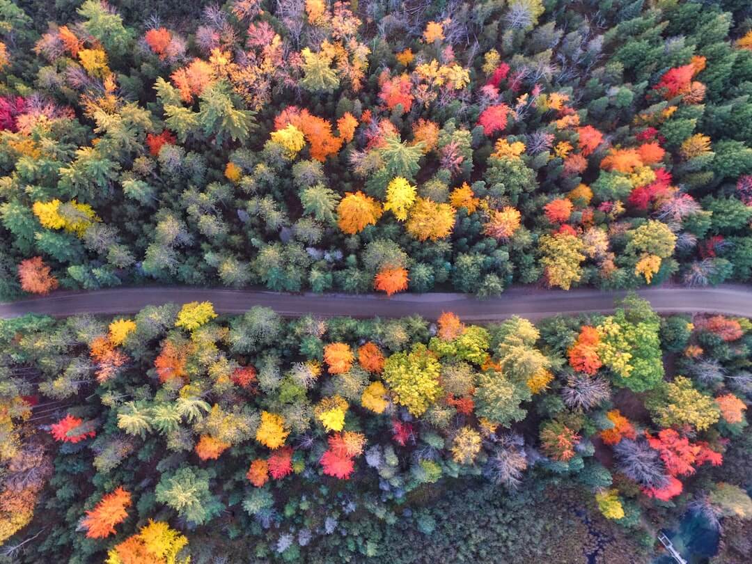 Siedlergemeinschaft Lengenfeld: Herbstversammlung mit Ausbuttern