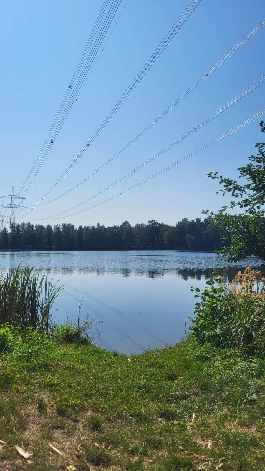 Jährliche Beprobung des Naturbadeweihers "Föhret"