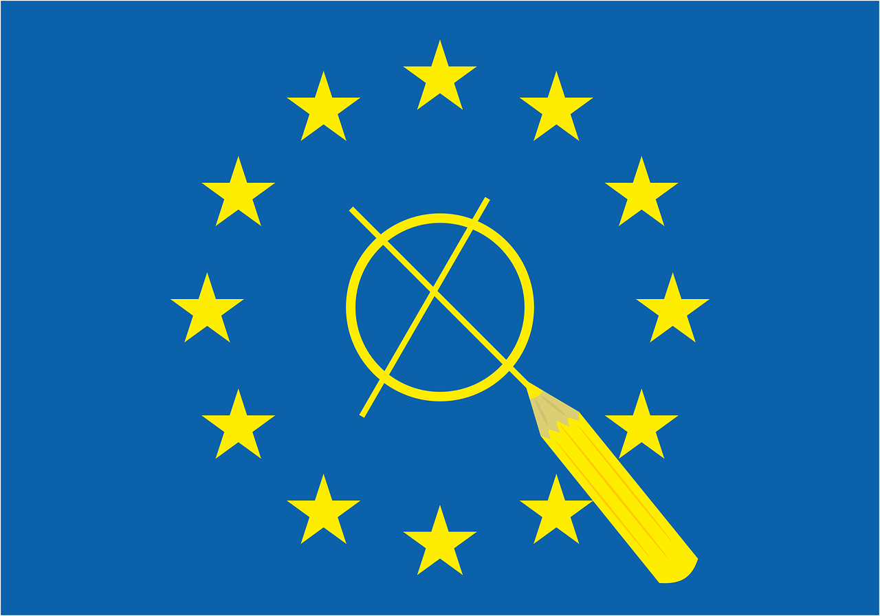Link für die Wahlergebnisse Europawahl